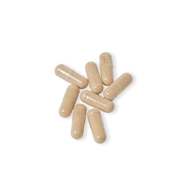 Beepolar Brain Support Complex Supplement (60 Capsules) - Image 3