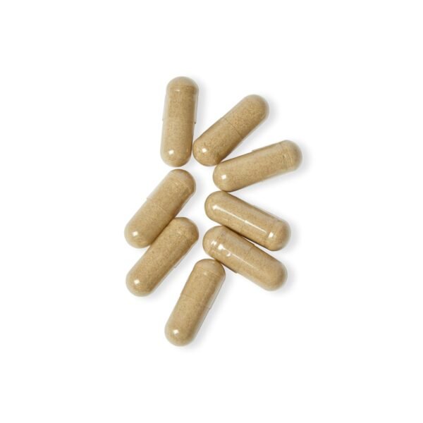 Beepolar Acai Berry Complex Supplement (60 Capsules) - Image 3