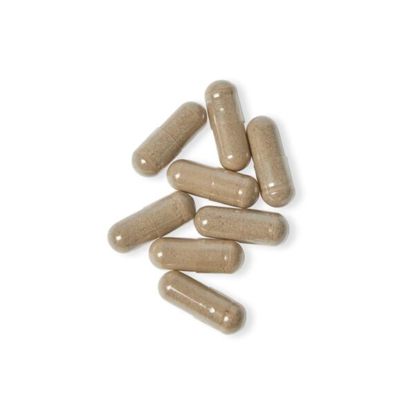 Beepolar Sea Moss Supplement (60 Capsules) - Image 3